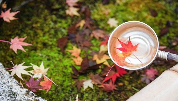 ▲▼日本鳥取智頭紅葉，智頭町紅葉名所因幡古街，700年諏訪神社、日本最美麗的村莊聯盟成員之一             。（圖／小虎提供）