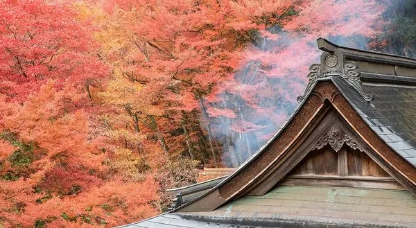 ▲▼日本鳥取智頭紅葉，智頭町紅葉名所因幡古街，700年諏訪神社、日本最美麗的村莊聯盟成員之一             。（圖／小虎提供）