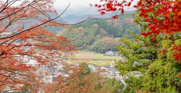 ▲▼日本鳥取智頭紅葉，智頭町紅葉名所因幡古街，700年諏訪神社、日本最美麗的村莊聯盟成員之一             。（圖／小虎提供）