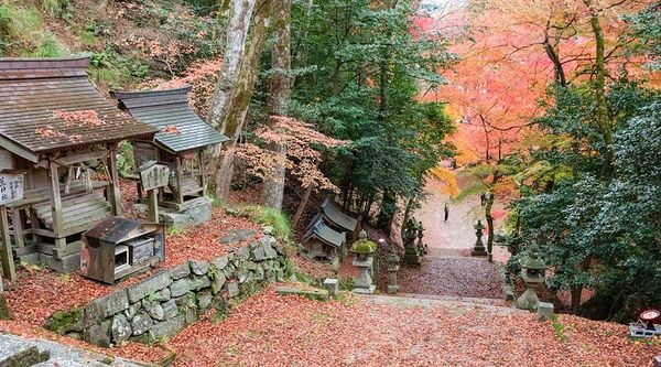 ▲▼日本鳥取智頭紅葉，智頭町紅葉名所因幡古街，700年諏訪神社、日本最美麗的村莊聯盟成員之一             。（圖／小虎提供）