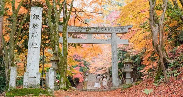 ▲▼日本鳥取智頭紅葉，智頭町紅葉名所因幡古街，700年諏訪神社、日本最美麗的村莊聯盟成員之一             。（圖／小虎提供）