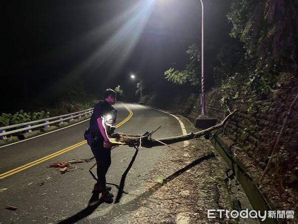 ▲警迅速排除倒塌路樹確保安全。（圖／記者楊漢聲翻攝）