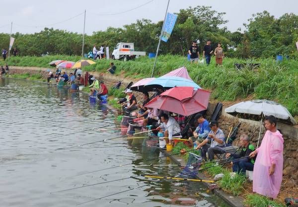 ▲桃園大圳通水百週年，桃管處釣魚活動登場