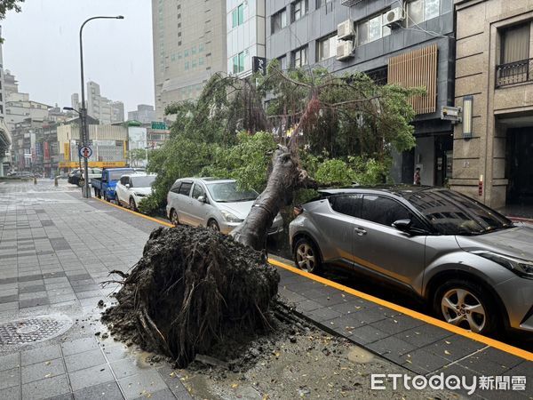 ▲▼             北市萬華區開封街二段路樹倒塌，砸中跑車。（圖／記者張君豪翻攝，下同）