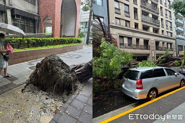 ▲▼             北市萬華區開封街二段路樹倒塌，砸中跑車。（圖／記者張君豪翻攝，下同）