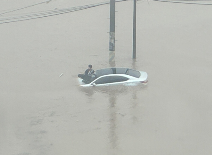 ▲▼韓200年暴雨撤千人！豪車被沖走 他坐「國民車」獲救掀熱議。（圖／翻攝自X）