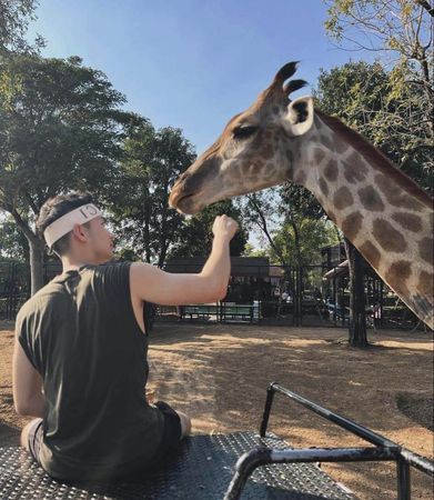 ▲▼曼谷必去三大動物園，和長頸鹿合照，小老虎近距離餵奶。（圖／ReadyGo提供）