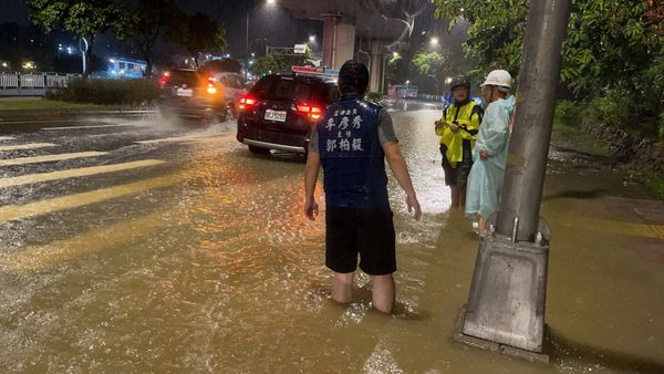 ▲▼北市內湖也傳淹水！大湖公園「水淹沒草坪」現況曝　馬路慘變整片黃水。（圖／翻攝自我是內湖人）