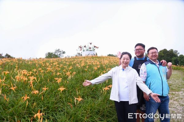 ▲▼花蓮赤科山、六十石山金燦燦的金針花海如天使的毯子般鋪滿大地。（圖／花蓮縣政府提供，下同）