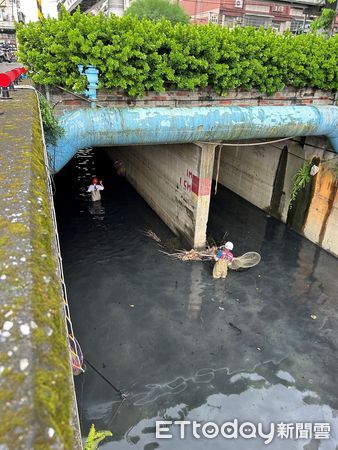 白鴨掉進9m排水溝！見人靠近「拍翅飛逃」　來回2小時累倒被送醫（圖／新北市動保處提供，請勿隨意翻拍，以免侵權。）