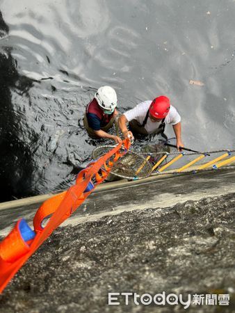 白鴨掉進9m排水溝！見人靠近「拍翅飛逃」　來回2小時累倒被送醫（圖／新北市動保處提供，請勿隨意翻拍，以免侵權。）