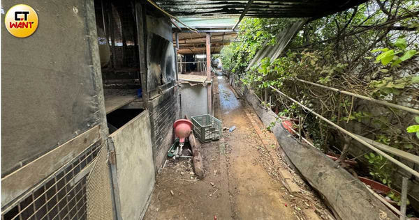 范女接手前夫農場後自己當起屠夫，直接在場內揮刀殺狗，其「口碑」更是遠近皆知。（圖／記者方萬民攝）