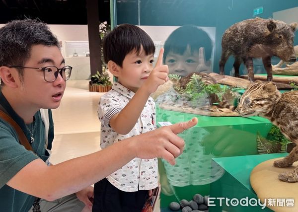 ▲▼  「臺灣史前動物特展」讓觀眾近距離觀察臺灣原生保育動物的獨特特徵，激發保護意識。           。（圖／十三行博物館提供）