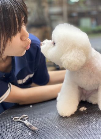 國際寵物美容大師講座11月登場 農業部動保司支持（圖／亞洲動物醫療協會提供）