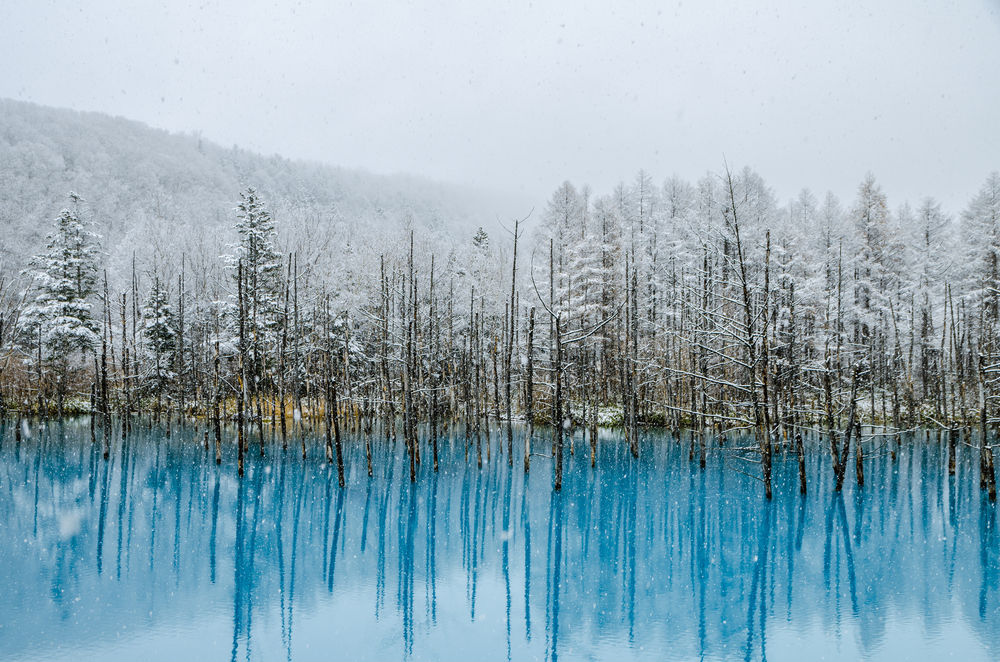 ▲▼七逗旅遊網,台灣虎航,日本。（圖／shutterstock提供）