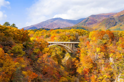 ▲▼七逗旅遊網,日本,北海道,台灣虎航。（圖／shutterstock）