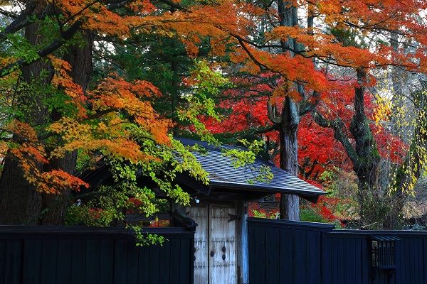 ▲▼七逗旅遊網,日本,北海道,台灣虎航。（圖／shutterstock）