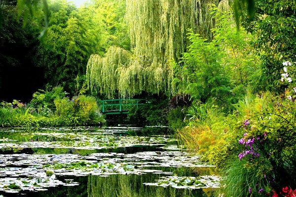 ▲▼七逗旅遊網,日本,台灣虎航,IG爆紅。（圖／shutterstock）