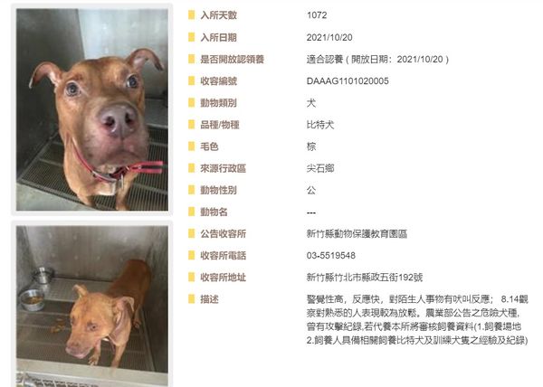 ▲▼比特犬被逗弄咬死人！遭監禁1072天沒散步過網求情　竹縣府回應了。（圖／翻攝全國動物收容管理系統）