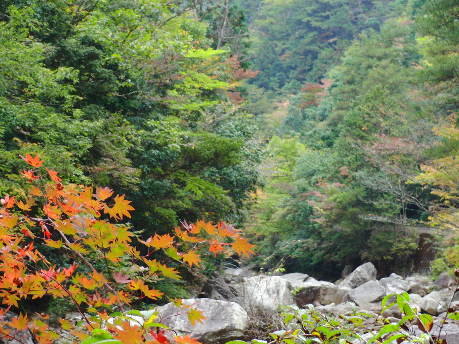 ▲▼廣島縣賞楓景點石谷峽。（圖／HIT廣島縣觀光聯盟提供）