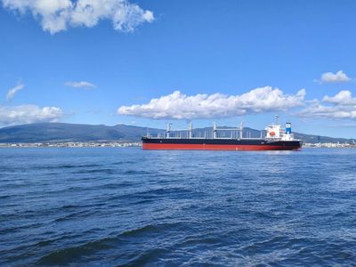去年Q1太好 散裝船今年Q1營收多數負成長、但全年仍享獲利