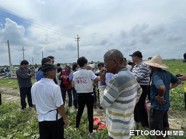 ▲台南將軍區漚汪一帶的西瓜農田產生大面積損失，立委陳亭妃偕同市議員蔡秋蘭及方一峰邀集農業部農糧署、台南市農業局、將軍區公所至現場勘查。（圖／記者林東良翻攝，下同）