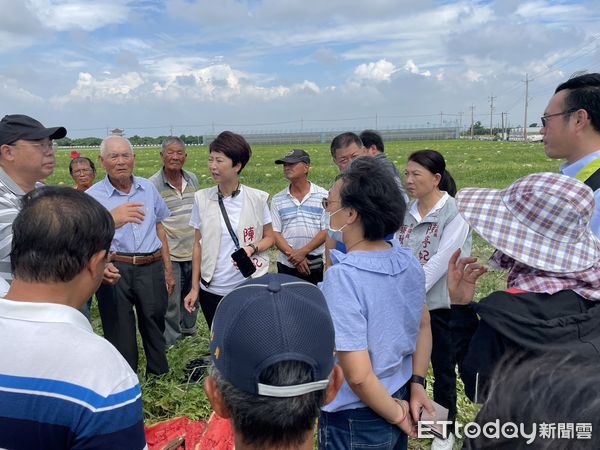 ▲台南將軍區漚汪一帶的西瓜農田產生大面積損失，立委陳亭妃偕同市議員蔡秋蘭及方一峰邀集農業部農糧署、台南市農業局、將軍區公所至現場勘查。（圖／記者林東良翻攝，下同）