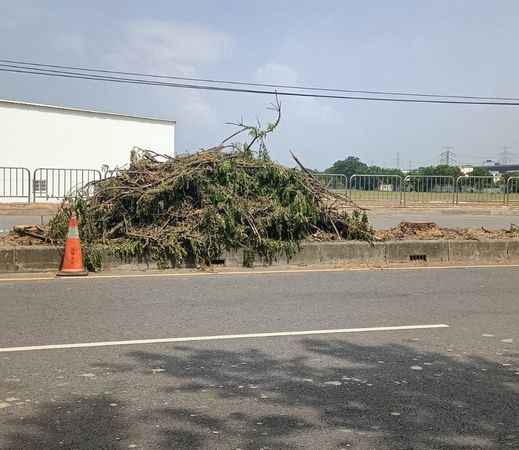 ▲彰化和美線東路6段整排苦楝樹因感染褐根病遭砍除。（圖／民眾提供 Google街景 賴清美議員提供）