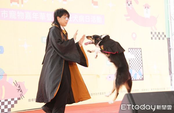 ▲「113年桃園市寵物嘉年華」今天下午在桃園樂天棒球場旁舉行，現場邀請知名犬貓訓練師與寵物登台互動。（圖／記者沈繼昌翻攝）