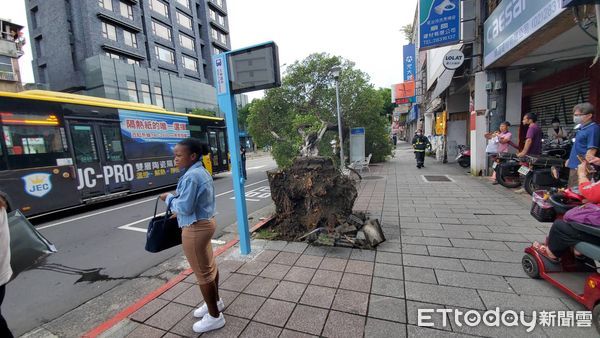 ▲▼台北市士林區中正路310號，路樹倒塌，1女受傷。（圖／記者黃彥傑攝）