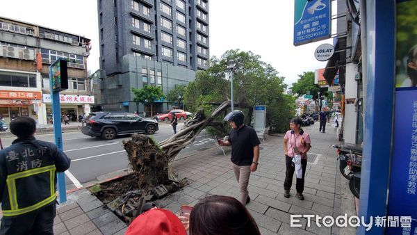 ▲▼台北市士林區中正路310號，路樹倒塌，1女受傷。（圖／記者黃彥傑攝）