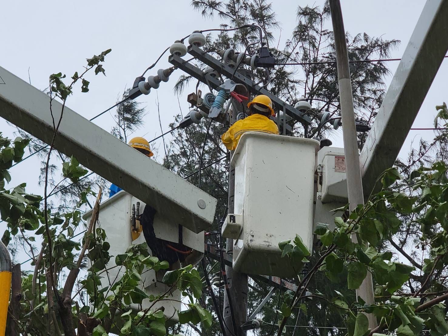 ▲台電屏東區處人員冒險搶修電力           。（圖／台電屏東區處提供）