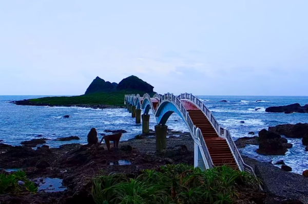 三仙台猴子觀浪。（圖／翻攝自東部海岸國家風景管理處）