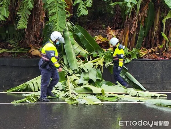 ▲芭蕉樹遭強風吹斷警方協助排除。（圖／記者楊漢聲翻攝）