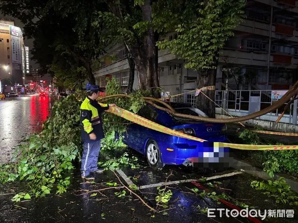 ▲高雄路樹倒塌，砸中一部轎車。（圖／記者吳世龍翻攝）