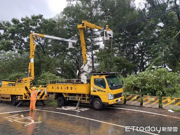 ▲台電線路工作班/2日於安平港管制站、海巡署、漁光島預防性樹修，以防強風導致樹木碰觸線路引起停電事故。（圖／記者林東良翻攝，下同）