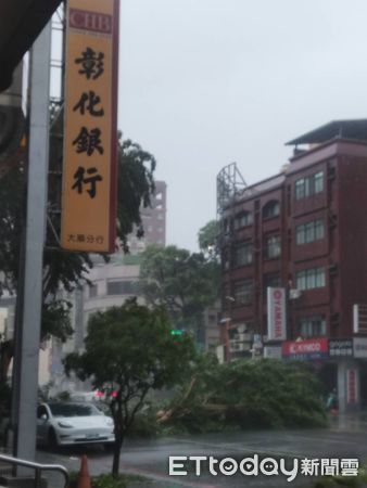 ▲▼高雄市狂風吹             。（圖／記者吳世龍攝）