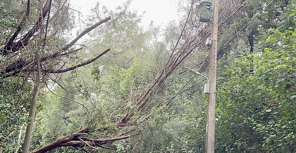 ▲「山陀兒」颱風昨晚開始帶來強風豪雨造成桃園市沿海地區多處饋線斷落。（圖／台電桃園營業處提供）