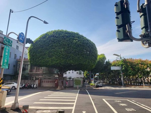 ▲▼             。（圖／記者張雅雲翻攝）