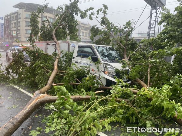 ▲▼高雄貨車遭倒塌路樹壓到。（圖／記者賴文萱翻攝）