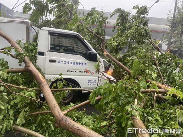 ▲▼高雄貨車遭倒塌路樹壓到。（圖／記者賴文萱翻攝）