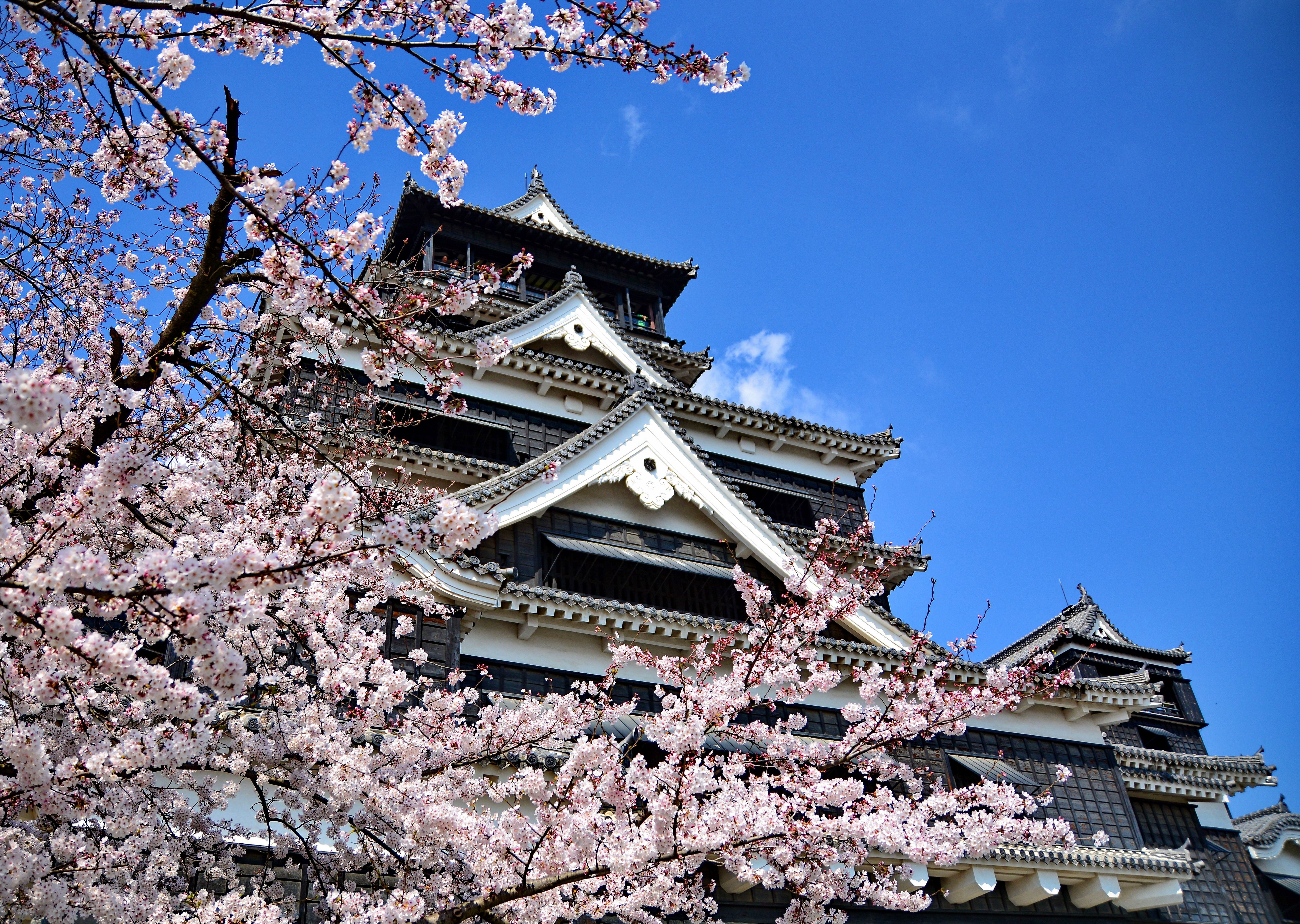 ▲▼歌詩達郵輪,七逗旅遊網,日韓跳島。（圖／歌詩達郵輪、shutterstock）