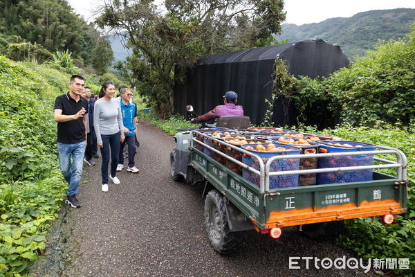 ▲山陀兒颱風來襲，南投縣長許淑華赴信義鄉山區勘察農民搶收情形。（圖／南投縣政府提供，下同）