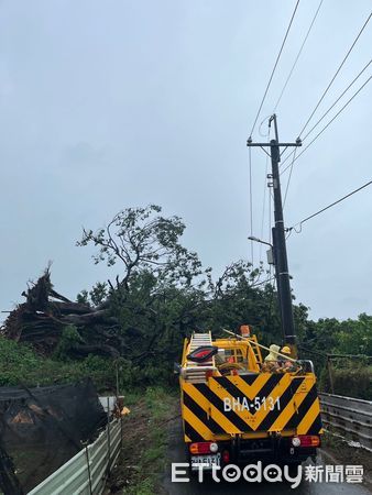 ▲山陀兒颱風3日登陸高雄，台南地區強風造成樹木倒塌及電力設備故障，颱風期間累計停電7209戶，目前尚有479戶停電，全力搶修中。（圖／記者林東良翻攝，下同）