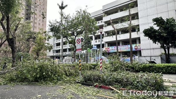 ▲▼高雄災情慘重，陳其邁拚3天恢復市容。（圖／記者賴文萱攝）