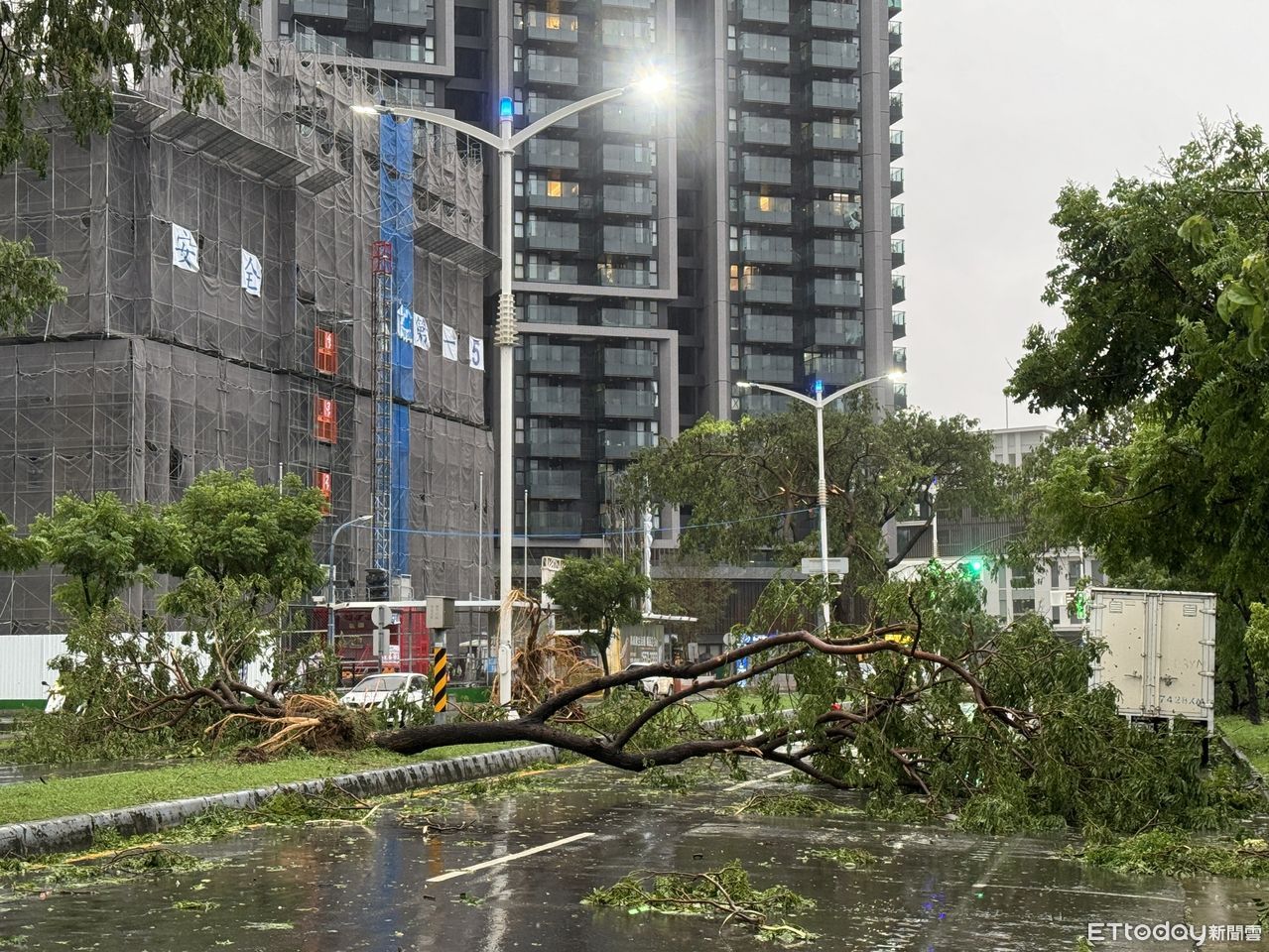 颱風天車停路邊遭行道樹壓壞 車主討國賠1原因吞敗 | ETtoday社會新聞 | ETtoday新聞雲