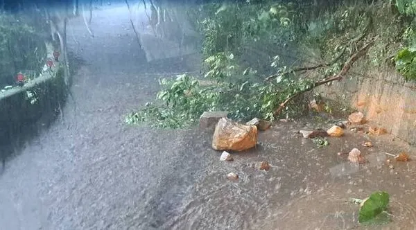 ▲受山陀兒颱風及東北季風影響，陽明山仍有強風及豪大雨。（圖／陽管處提供）