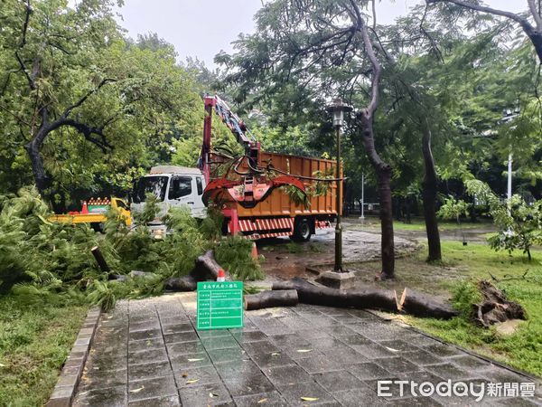 ▲颱風期間造成零星路樹倒伏、廣告招牌掉落、路面凹陷等情況，台南市工務局獲報後，立即出動人車到場排除，修補道路，迅速復原市容環境，確保市民安全。（圖／記者林東良翻攝，下同）