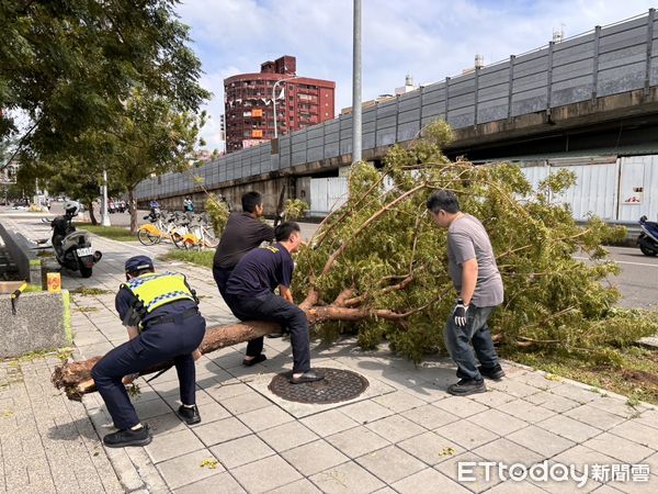 ▲▼山陀兒颱風侵襲全台，造成市區多處路樹傾倒，道路通行受阻。三民一分局員警守護家園不停歇堅守崗位，並且協同國軍弟兄、環保清潔兄弟姐妹投入市容復原。（圖／記者吳世龍翻攝）