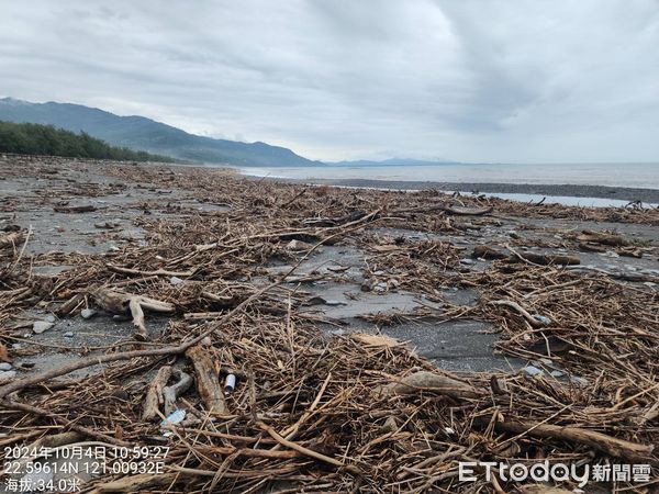 ▲▼山陀兒颱風侵台後，台東海岸線佈滿漂流木。（圖／翻攝自農業部林業及自然保育署台東分署）